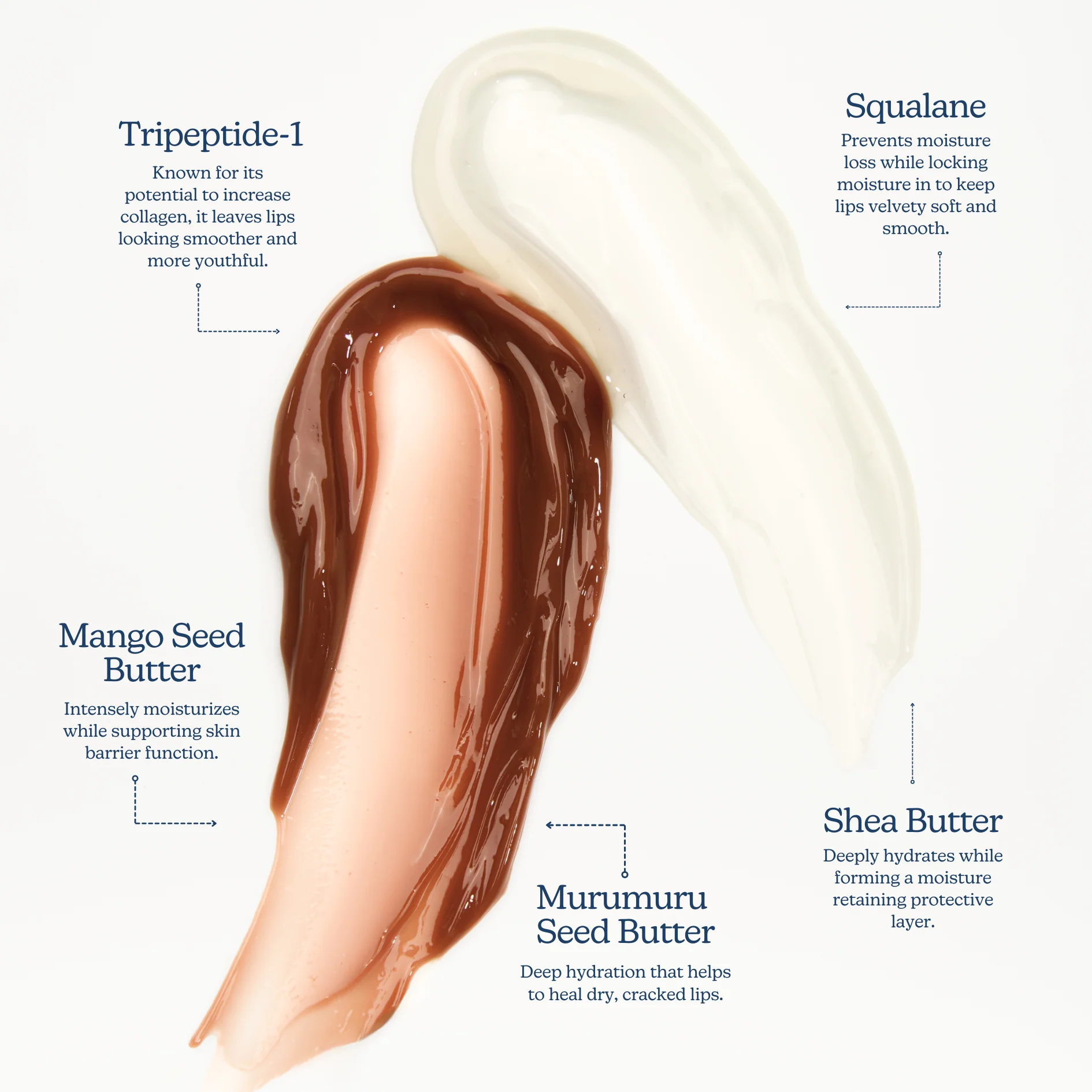 Superbalm Tripeptide-1 Lip Tint in Toffee - Image 7